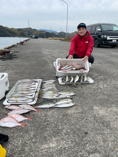 イサキの釣果