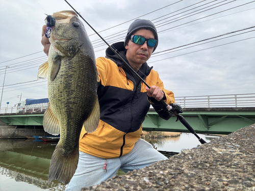 ブラックバスの釣果