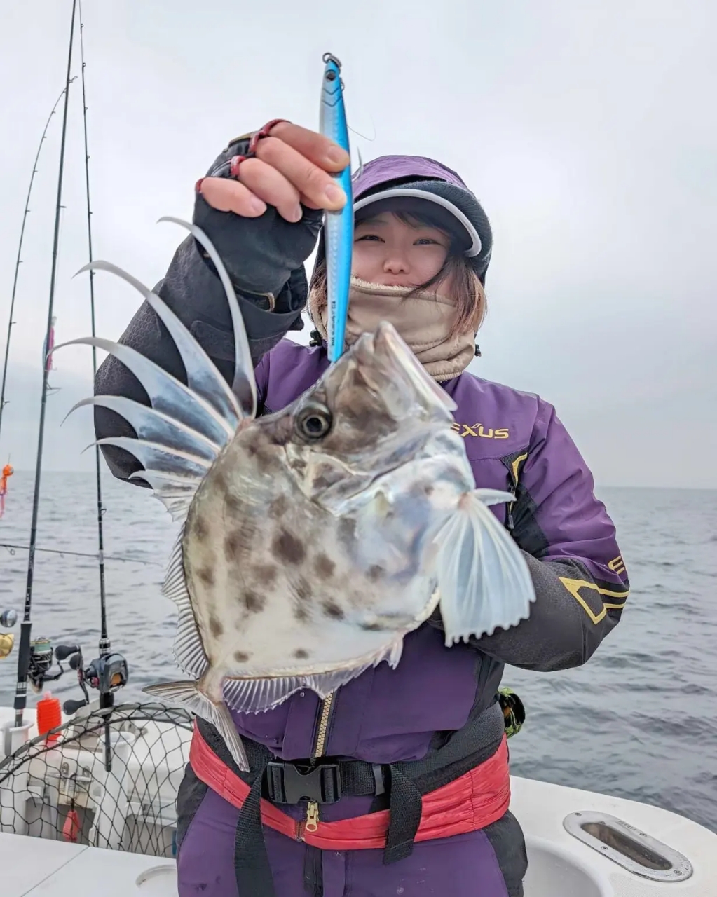 小木港で釣れたタイの釣り・釣果情報 - アングラーズ