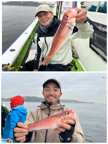 オニカサゴの釣果