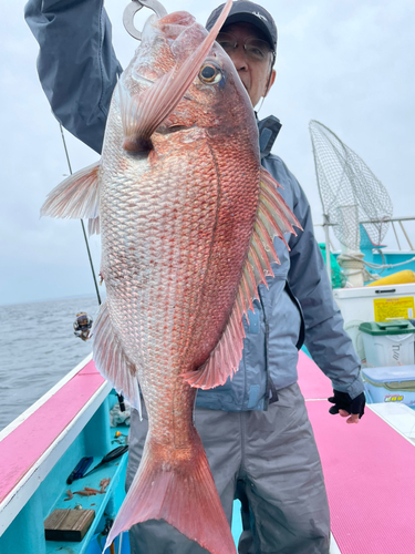 マハタの釣果