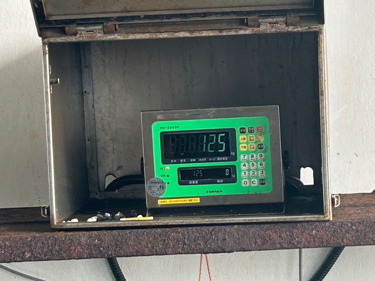 veck&moaさんの釣果 3枚目の画像