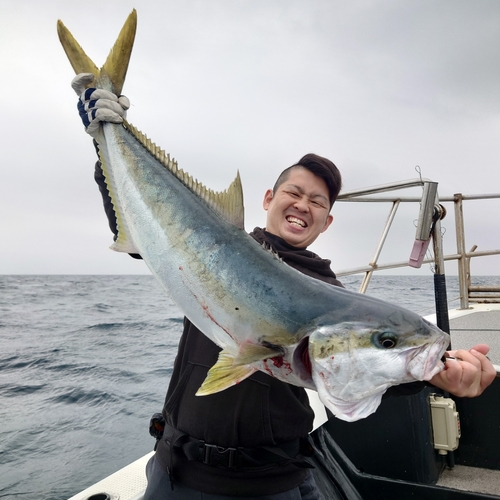 ヒラマサの釣果