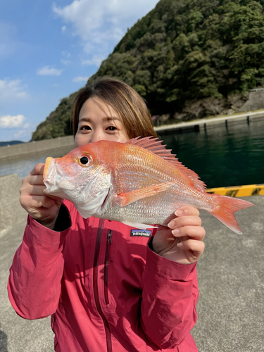 キダイの釣果