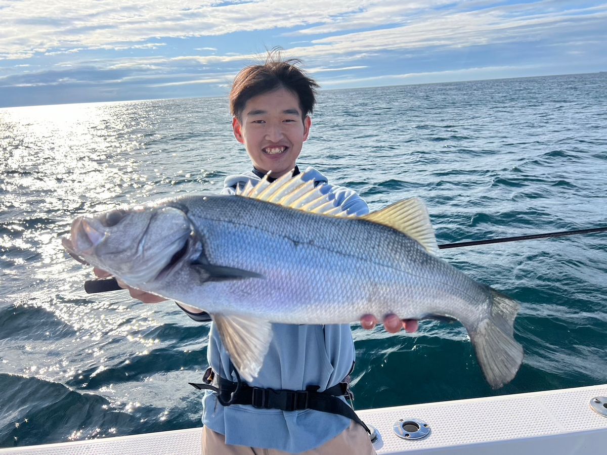 やす淡路島アングラーさんの釣果 2枚目の画像