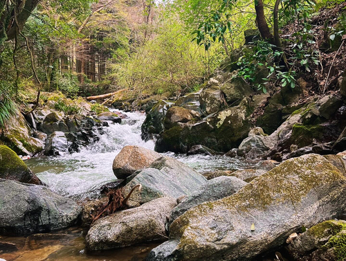 久慈川中流