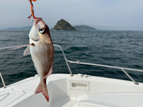 チャリコの釣果