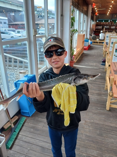 チョウザメの釣果