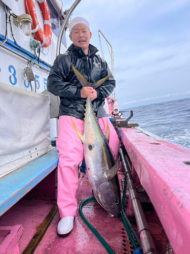 キハダマグロの釣果