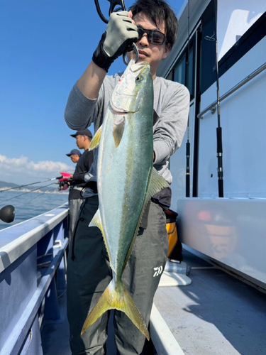 ワラサの釣果