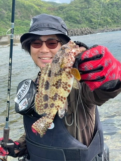 カンモンハタの釣果