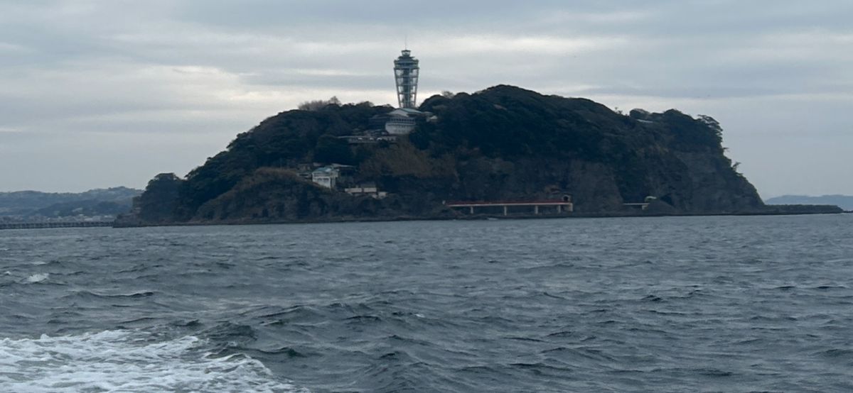 コッスーFさんの釣果 3枚目の画像