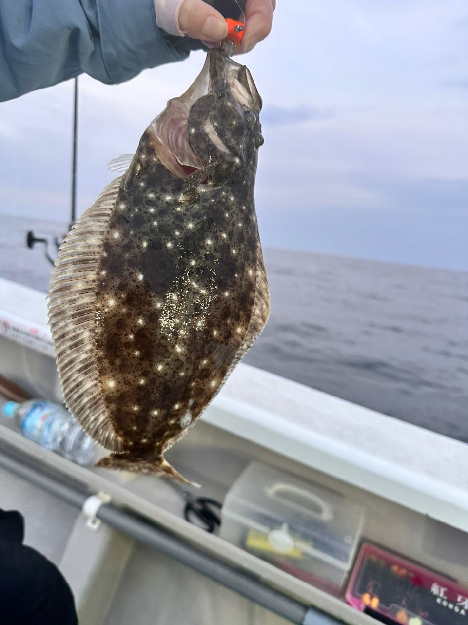 あいたぁぁぁんっ！さんの釣果 2枚目の画像