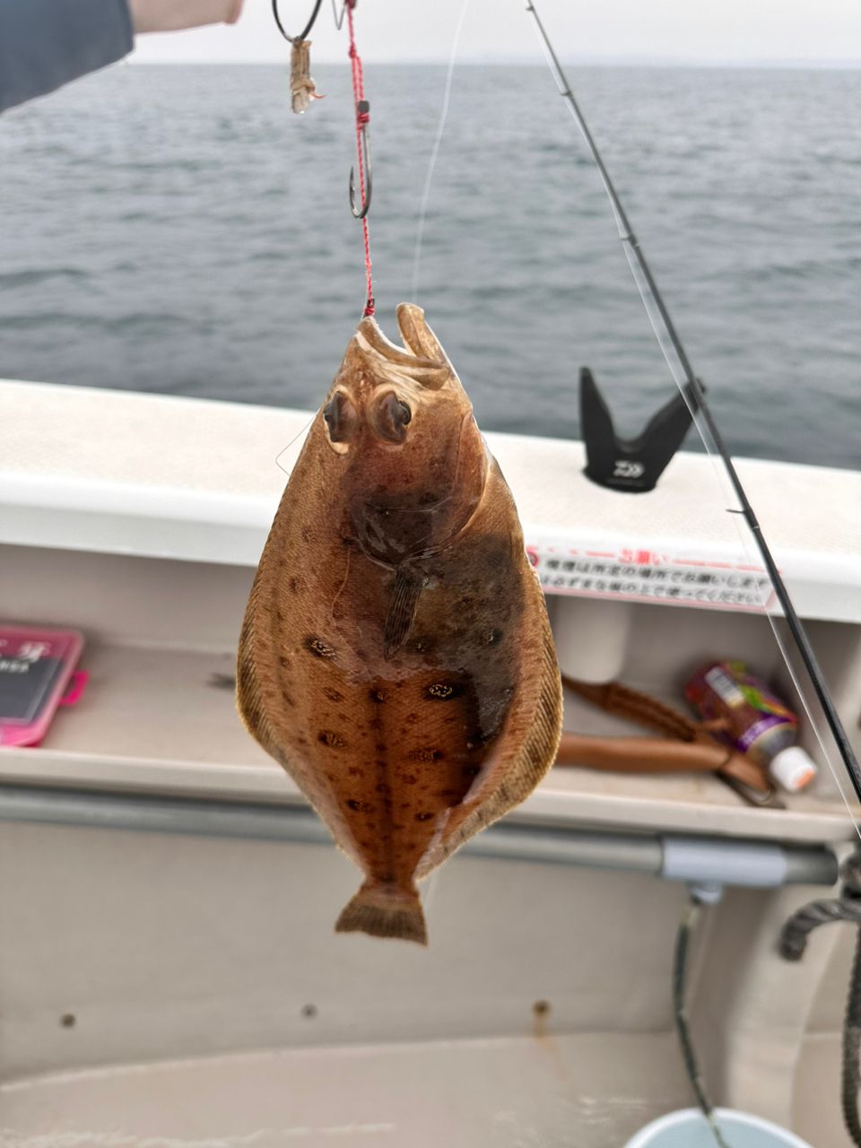 あいたぁぁぁんっ！さんの釣果 3枚目の画像