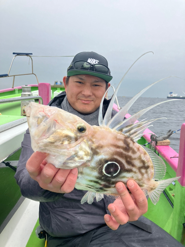 マトウダイの釣果