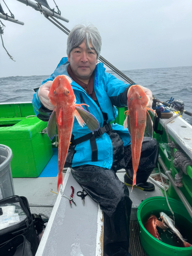 ホウボウの釣果