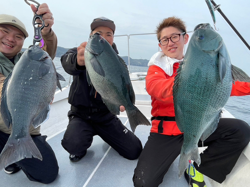 クロの釣果