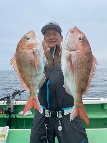 マダイの釣果