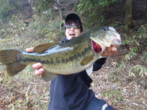 ラージマウスバスの釣果