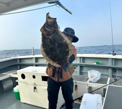 ヒラメの釣果