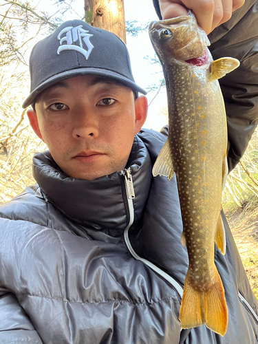 ニッコウイワナの釣果