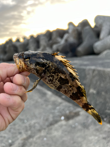 せんなん里海公園