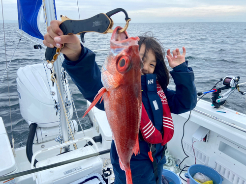 アカムツの釣果