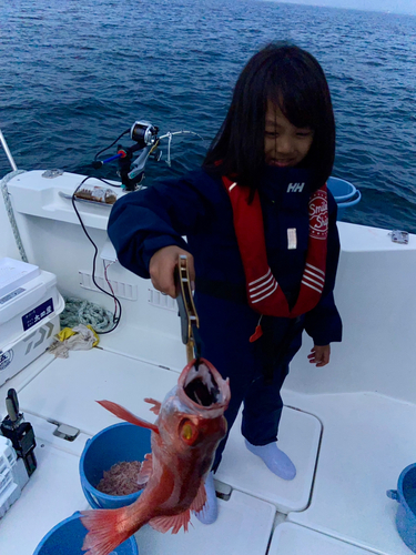 アカムツの釣果