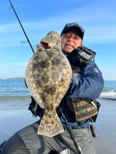 ヒラメの釣果