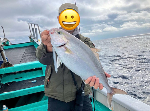 カンパチの釣果