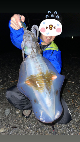 トラウトの釣果