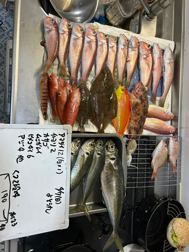 アカアマダイの釣果