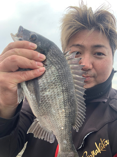 千葉県で釣れたイシガレイの釣り・釣果情報 - アングラーズ