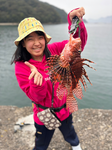 ミノカサゴの釣果