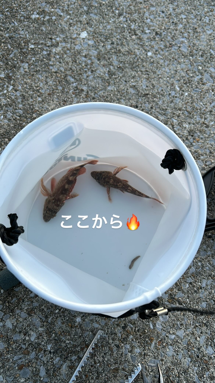 アジ