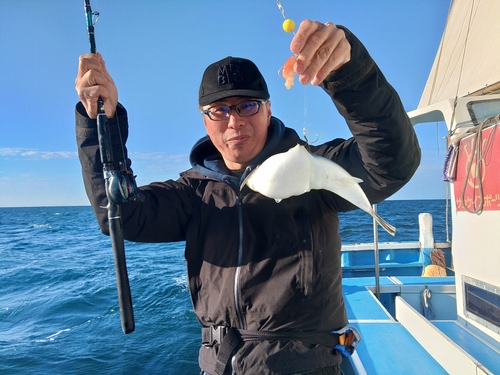 ショウサイフグの釣果