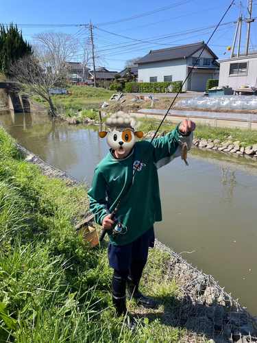 牛堀テトラ