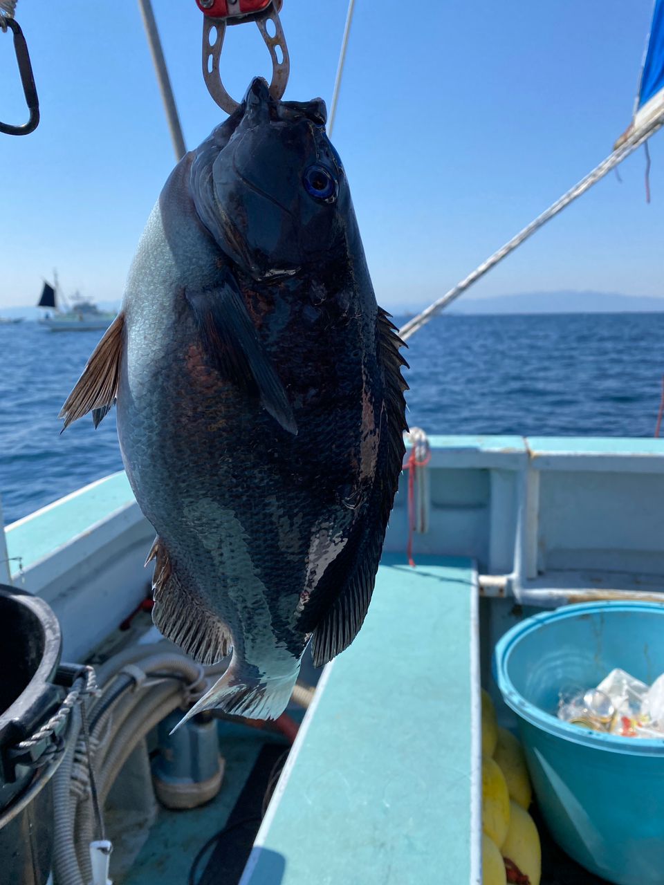 釣りが大好きさんの釣果 1枚目の画像