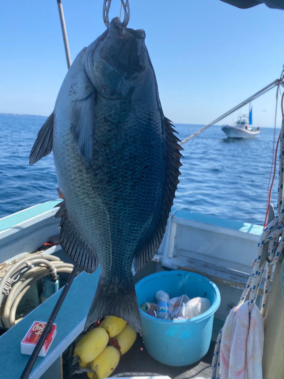 釣りが大好きさんの釣果 2枚目の画像