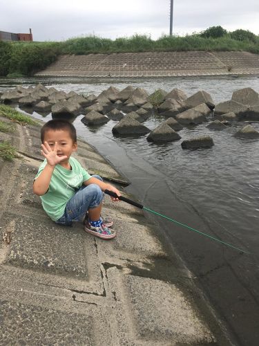 テナガエビの釣果