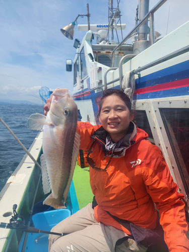 シロアマダイの釣果