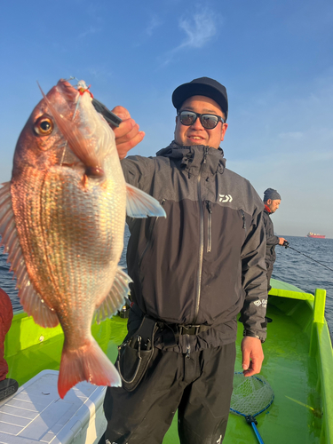 マダイの釣果