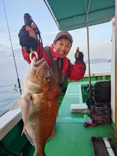 マダイの釣果