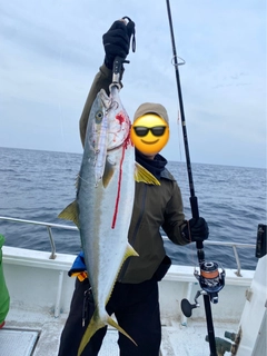 ヒラマサの釣果