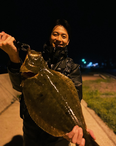 ヒラメの釣果