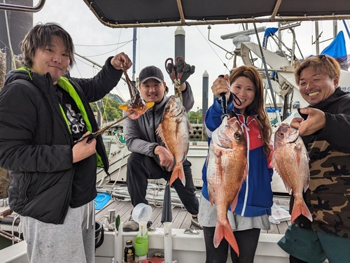 アコウの釣果