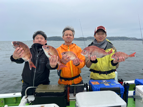 マダイの釣果