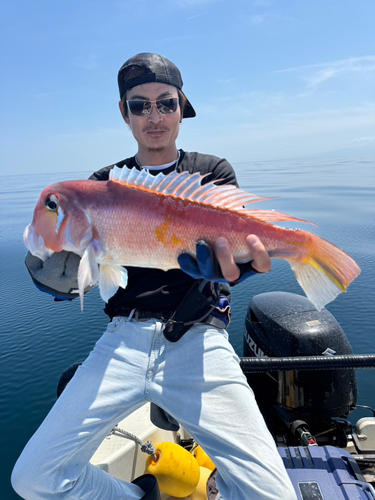 アカアマダイの釣果