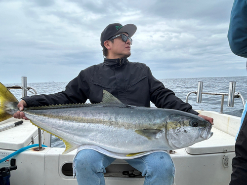 ヒラマサの釣果