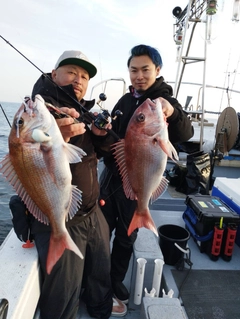 マダイの釣果